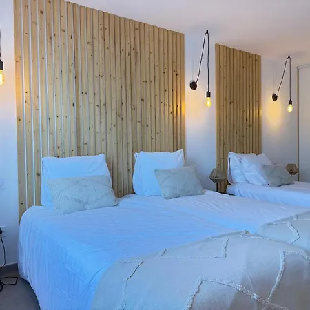 Montgaillard - La Cave - Rooftop Avec Piscine- 3 Proche *
